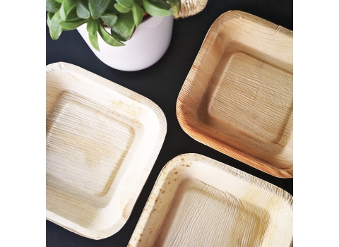 25 assiettes carrées écologiques en palmier 17 x 17 cm (Petite)
