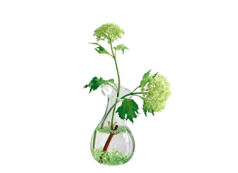 Perles de Pluie Vertes : 1.5kg