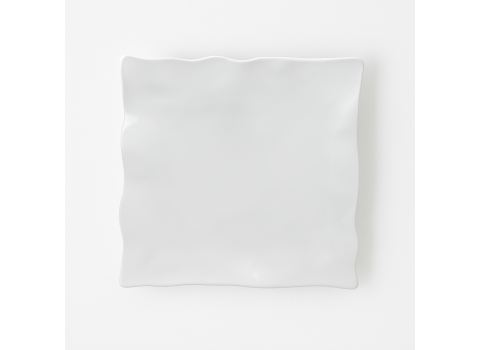 Assiette Carrée de dressage Incassable - 30 x 30 cm (Moyen)