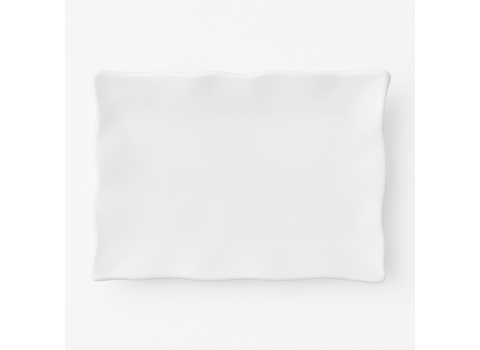 Assiette Rectangulaire de dressage Incassable - 29 x 38 cm (Moyen)
