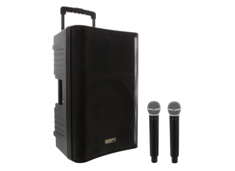 Enceinte Conférence sur batterie + 2 micros Sans fil 