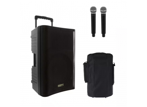Enceinte Conférence sur batterie + 2 micros Sans fil 