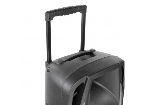 Sono lumineuse autonome 600 w + un Micro sans fil 