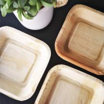 25 assiettes carrées écologiques en palmier 17 x 17 cm (Petite)