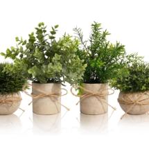 Set de 4 Plantes décoratives à poser 